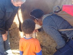 2014 Us w Autumn Scott Serene at Petes Pumpkin Patch 14